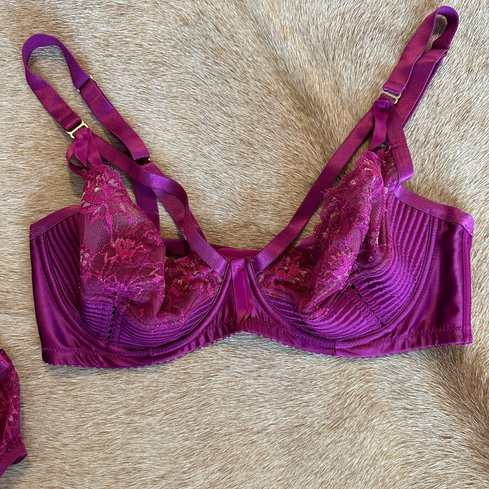 Dita Von Tease Plum Bra 34DD